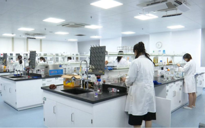 江蘇海門 以創(chuàng)新驅(qū)動(dòng)促融合發(fā)展，全力駛?cè)腴L(zhǎng)三角一體化“快車道”